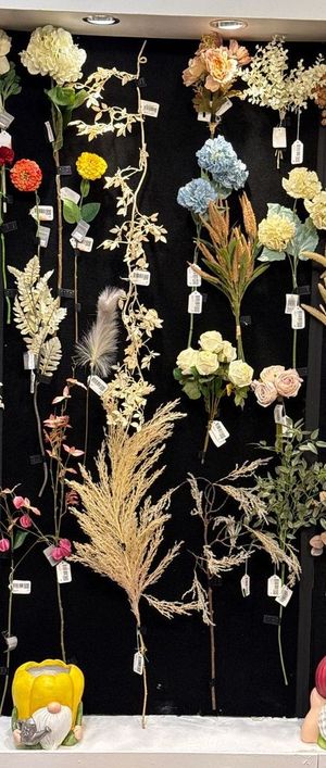 REEDS DCOR - 420-593628