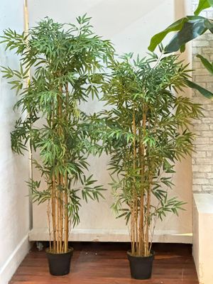 BAMBU COM PANELA - 592-311523