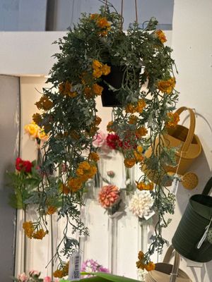 Verbena con pote 25X25X65CM - 592-301608